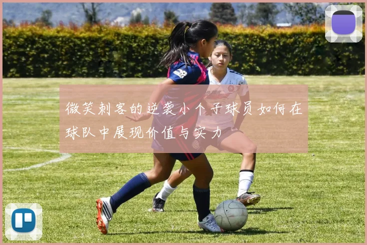 微笑刺客的逆袭小个子球员如何在球队中展现价值与实力