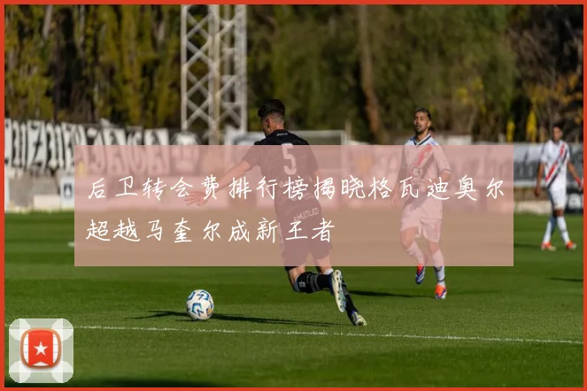 后卫转会费排行榜揭晓格瓦迪奥尔超越马奎尔成新王者